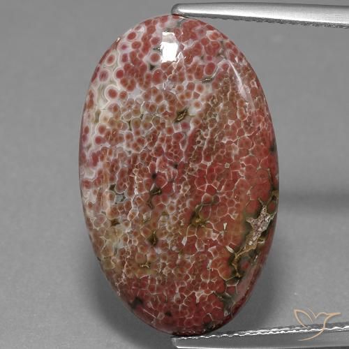 11.71ct Natural Multicolor Jaspe, Ovalada, Opaco