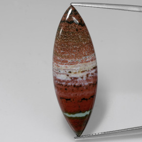Jaspe multicolor natural de 13,09 ct, marquesa, opaco