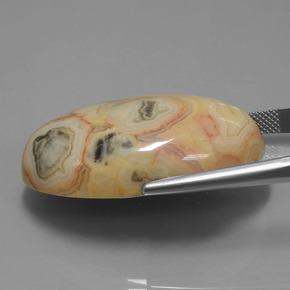 Jaspe Multicolor natural de 62.14 ct, Corte Óvalo, Opaco