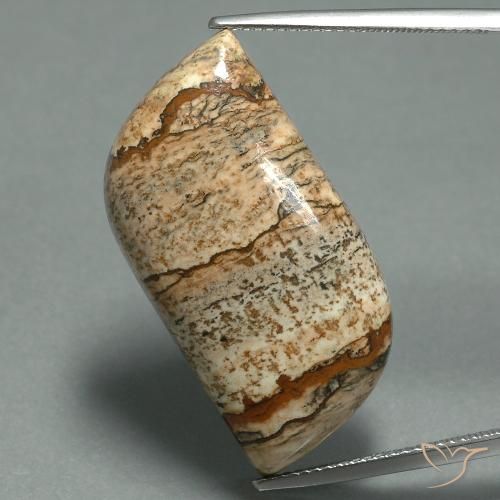 27.45ct Natural Multicolor Jaspe, Elegante, Opaco