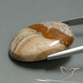 Jaspe Multicolor natural de 22.11 ct, Ovalada, Opaco