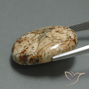 Jaspe Multicolor natural de 30.15 ct, Ovalada, Opaco