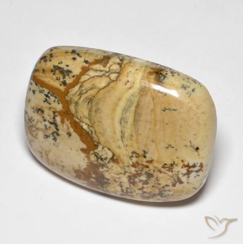 Jaspe Multicolor natural de 42.91 ct, Forma Cojín, Opaco