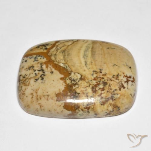 Jaspe Multicolor natural de 42.91 ct, Forma Cojín, Opaco