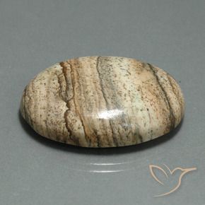 Jaspe Multicolor natural de 40.60 ct, Ovalada, Opaco