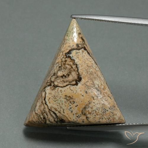 24.08ct Natural Multicolor Jaspe, Trillón, Opaco