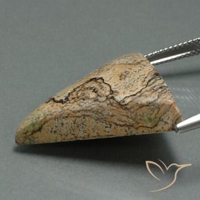 Jaspe Multicolor natural de 24.08 ct, Trillón, Opaco