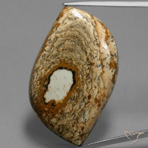 47.70ct Natural Multicolor Jaspe, Elegante, Opaco
