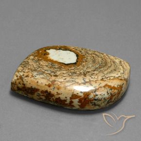 Jaspe Multicolor natural de 47.70 ct, Elegante, Opaco