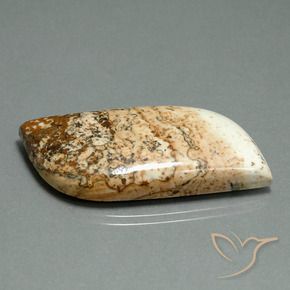 Jaspe Multicolor natural de 42.59 ct, Elegante, Opaco