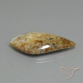 Jaspe Multicolor natural de 14.89 ct, Elegante, Opaco