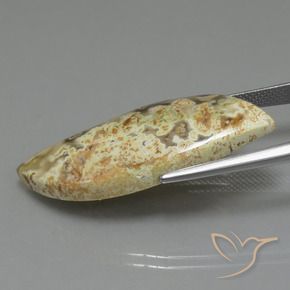 Jaspe Multicolor natural de 18.71 ct, Elegante, Opaco