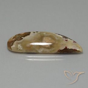 Jaspe Multicolor natural de 14.43 ct, Elegante, Opaco