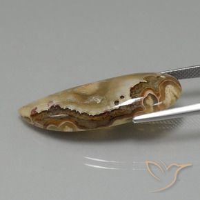 Jaspe Multicolor natural de 14.43 ct, Elegante, Opaco