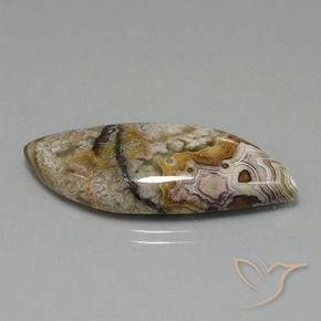 Jaspe Multicolor natural de 22.13 ct, Elegante, Opaco