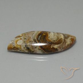 Jaspe Multicolor natural de 22.13 ct, Elegante, Opaco