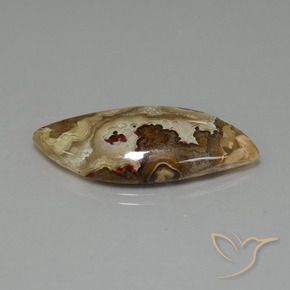Jaspe Multicolor natural de 17.84 ct, Elegante, Opaco