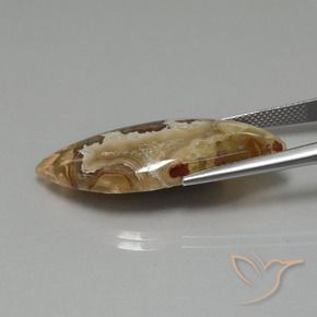 Jaspe Multicolor natural de 17.84 ct, Elegante, Opaco