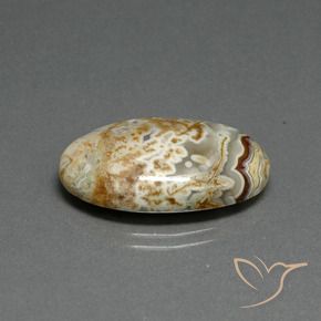 Jaspe Multicolor natural de 14.29 ct, Ovalada, Opaco