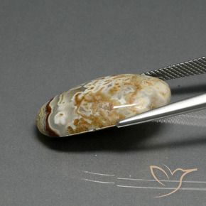 Jaspe Multicolor natural de 14.29 ct, Ovalada, Opaco