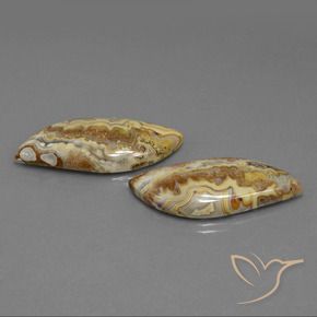 Gemas de Jaspe Multicolor natural de 39.01 ct, Elegante, Opaco