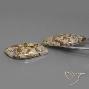 Gemas de Jaspe Multicolor natural de 42.19 ct, Elegante, Opaco