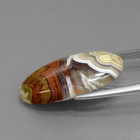 Jaspe Multicolor natural de 13.94 ct, Corte Óvalo, Opaco