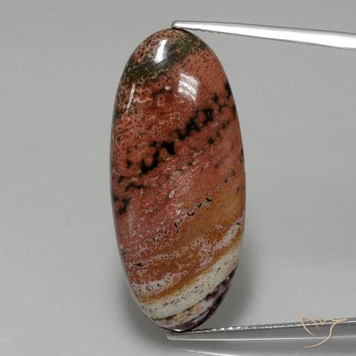 15.75ct Natural Multicolor Jaspe, Ovalada, Opaco