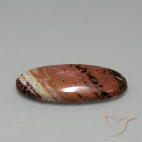 Jaspe Multicolor natural de 15.75 ct, Ovalada, Opaco
