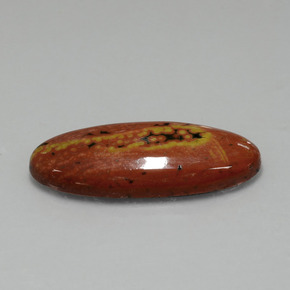Jaspe multicolor natural de 17,43 ct, corte óvalo, opaco