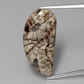 Jaspe Multicolor natural de 8.64 ct, Forma elegante, Opaco