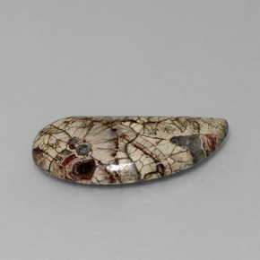 Jaspe Multicolor natural de 8.64 ct, Forma elegante, Opaco