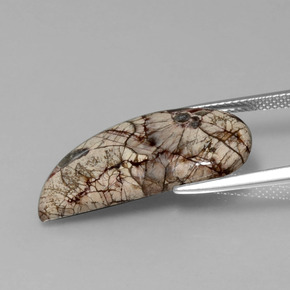 Jaspe Multicolor natural de 8.64 ct, Forma elegante, Opaco