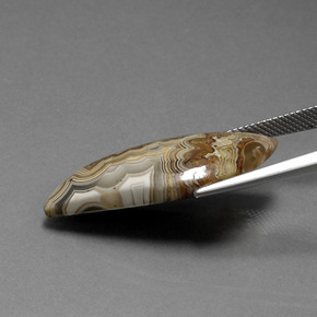 Jaspe Multicolor natural de 15.18 ct, Forma elegante, Opaco