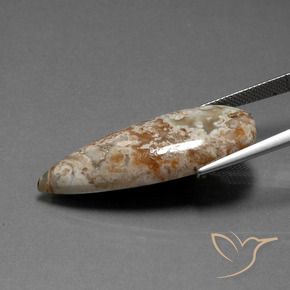Jaspe Multicolor natural de 19.58 ct, En forma de pera, Opaco