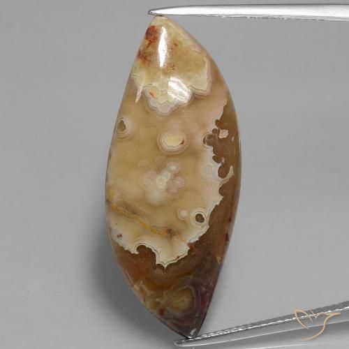 17.69ct Natural Multicolor Jaspe, Elegante, Opaco