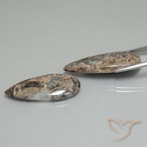 Gemas de Jaspe Multicolor natural de 21.31 ct, En forma de pera, Opaco