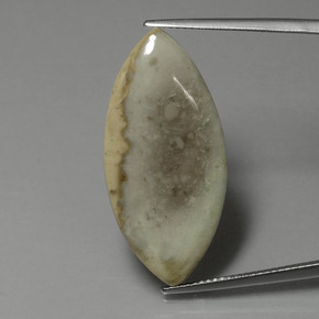 Jaspe Multicolor natural de 15.89 ct, Marquesa, Opaco