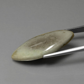 Jaspe Multicolor natural de 15.89 ct, Marquesa, Opaco