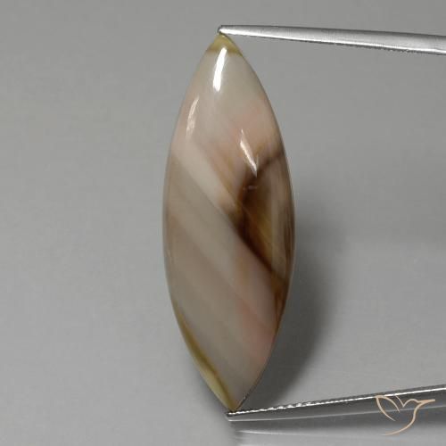 13.74ct Natural Multicolor Jaspe, Marquesa, Opaco