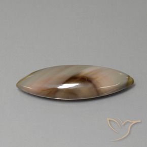 Jaspe Multicolor natural de 13.74 ct, Marquesa, Opaco