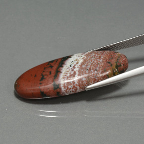 Jaspe Multicolor natural de 17.25 ct, Corte Óvalo, Opaco