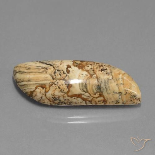 Jaspe Multicolor natural de 27.33 ct, Elegante, Opaco