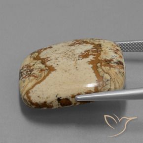 Jaspe Multicolor natural de 37.15 ct, Forma Cojín, Opaco