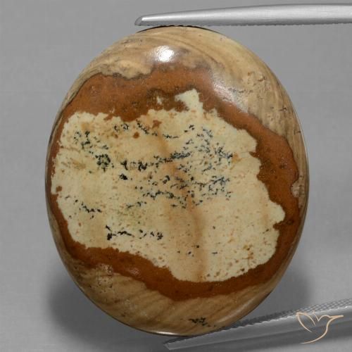 44.93ct Natural Multicolor Jaspe, Ovalada, Opaco