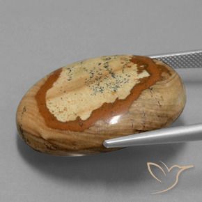 Jaspe Multicolor natural de 44.93 ct, Ovalada, Opaco