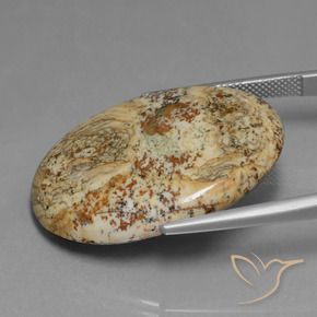 Jaspe Multicolor natural de 37.65 ct, Ovalada, Opaco