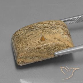 Jaspe Multicolor natural de 28.04 ct, Corte Baguette, Opaco