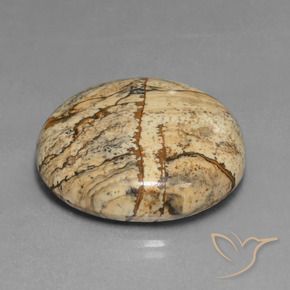 Jaspe Multicolor natural de 37.82 ct, Ovalada, Opaco