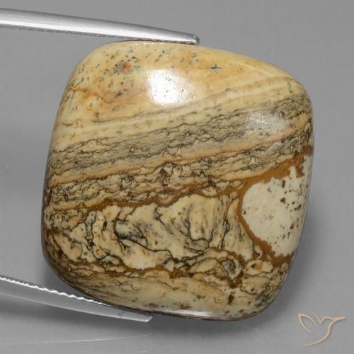 38.72ct Natural Multicolor Jaspe, Forma Cojín, Opaco